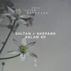 Sultan + Shepard - You Are My High
