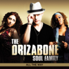 The Drizabone Soul Family - All the Way kunstwerk