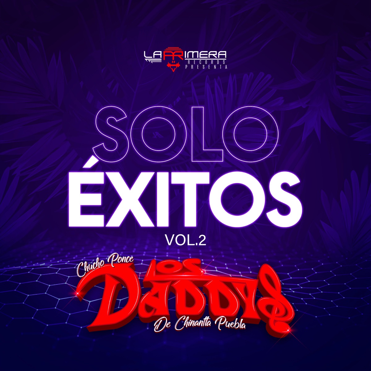 Solo Éxitos Vol. 2 by Chucho Ponce Los Daddys de Chinantla on Apple Music