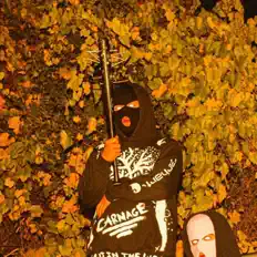 Listen to Tex Bandicoot, watch music videos, read bio, see tour dates & more!