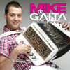 Um Bocadinho de Mim - Mike da Gaita