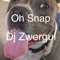 Oh Snap - DJ Zwergul lyrics