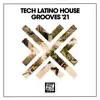 Stream & download Tech the House (Dub Mix)