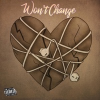 Won't Change - Single - Dave King
