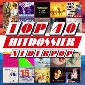 TOP 40 HITDOSSIER - Nederpop