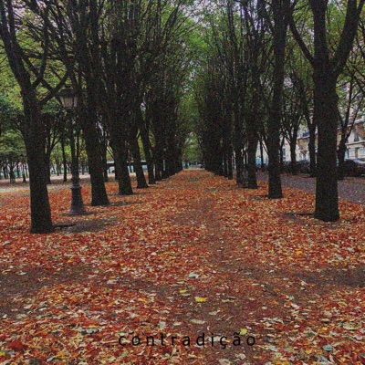 Contradição - Single