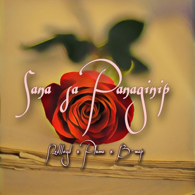 Sana sa Panaginip (feat. Nedlloyd & Cris Vargas) - Single