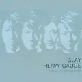 HEAVY GAUGE
