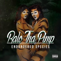 Endangered Species - Ralo tha Pimp