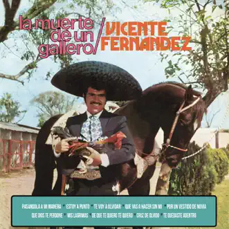 Que Dios Te Perdóne by Vicente Fernández song reviws