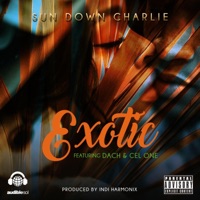 Exotic (feat. Dach & Cel One) - Single - Sun Down Charlie
