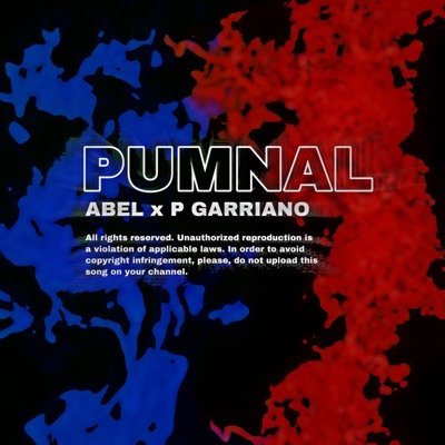Pumnal (feat. P Garriano) - Single