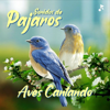 Aves Cantando Parte 1 - Sonidos De Pajaros
