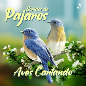 Aves Cantando