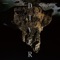 Flooding - Tobias Preisig lyrics