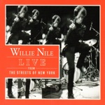 Willie Nile - The Day I Saw Bo Diddley in Washington Square