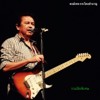รวมฮิตพิเศษ, Vol. 2 - Pongthep Gradoanchumnaan