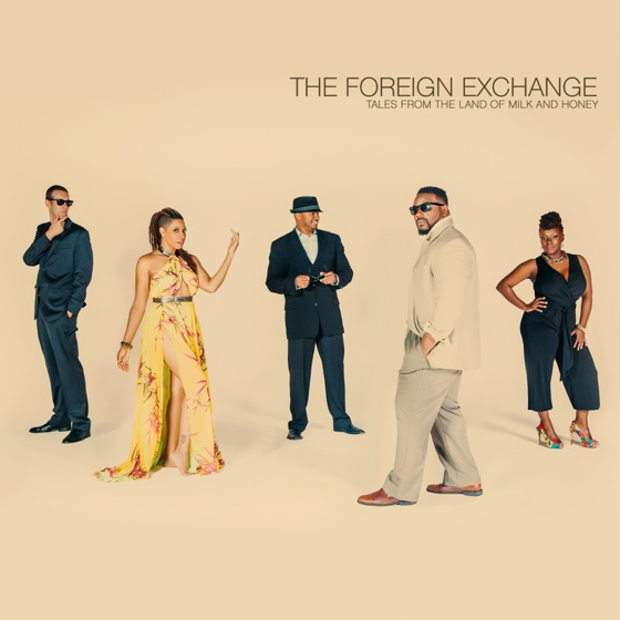 Cover artwork for Face In the Reflection