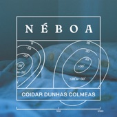 Coidar dunhas Colmeas artwork