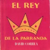 David Corrêa - El Bobo de Ruperta
