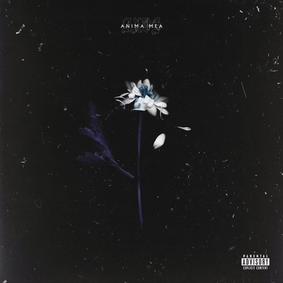 Cover artwork for Sogni di cera