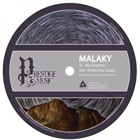 My Dreams / While You Sleep - Single - Malaky
