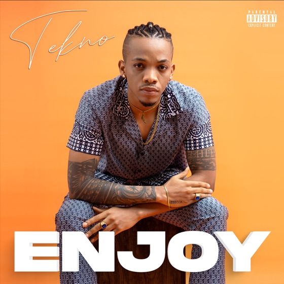 Cover artwork for Enjoy