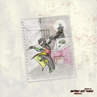 Batman and Robin - MoeSOS DC & Damm!tmitch