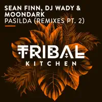 Pasilda — Sean Finn, DJ Wady, Moondark