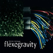 Flexogravity - EP artwork