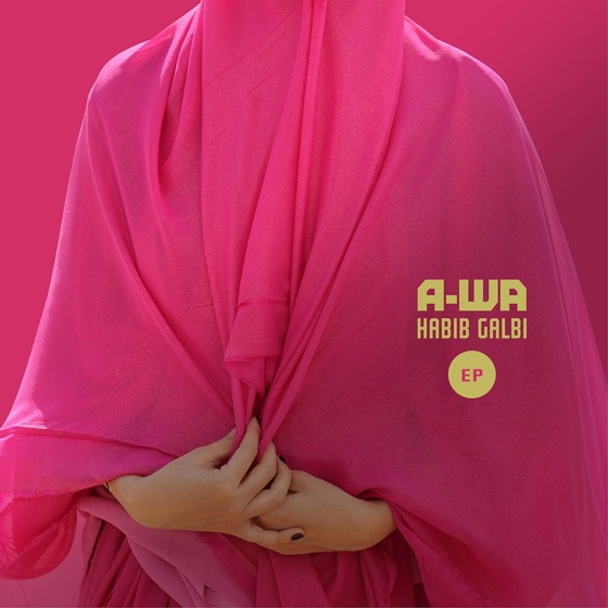 Cover artwork for Habib Galbi