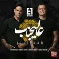 Alijenab