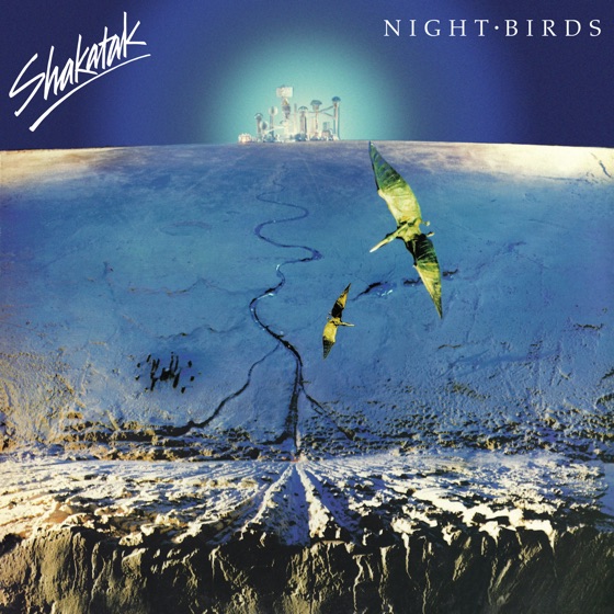 Cover artwork for Night Birds