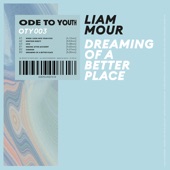 Liam Mour - Dreaming Of A Better Place