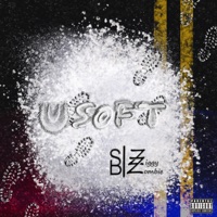 U Soft (feat. Ziggy Zombie) - Single - Remembersb