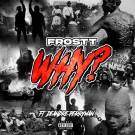 Why (feat. DeAndre Perryman) FrosTT