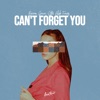 Can't Forget You - Single