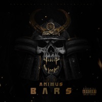 Bars - Single - Animus