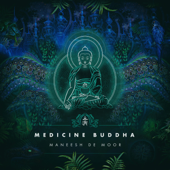 Medicine Buddha - Maneesh De Moor