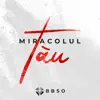 În mâna Ta