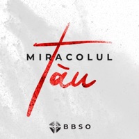Miracolul Tau