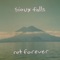 Past Tense - Sioux Falls lyrics