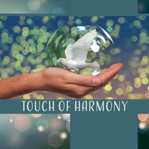 Touch of Harmony: Spiritual Yoga, Music for Exercises, Fifth Chakra, Light of Love, Relaxing Poses, Flexible Healing