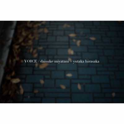 Voice - Single
