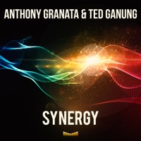 Synergy - Anthony Granata & Ted Ganung