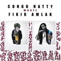 Congo Natty Meetz Fikir Amlak - Congo Natty & Fikir Amlak