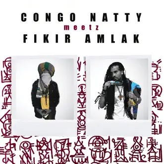 Congo Natty Meetz Fikir Amlak by Congo Natty & Fikir Amlak album reviews, ratings, credits