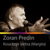 Kosa boje srebra