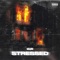 Stressed - C.R lyrics