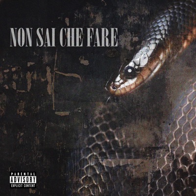 Non sai che fare - Single